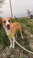 NATY Image 1